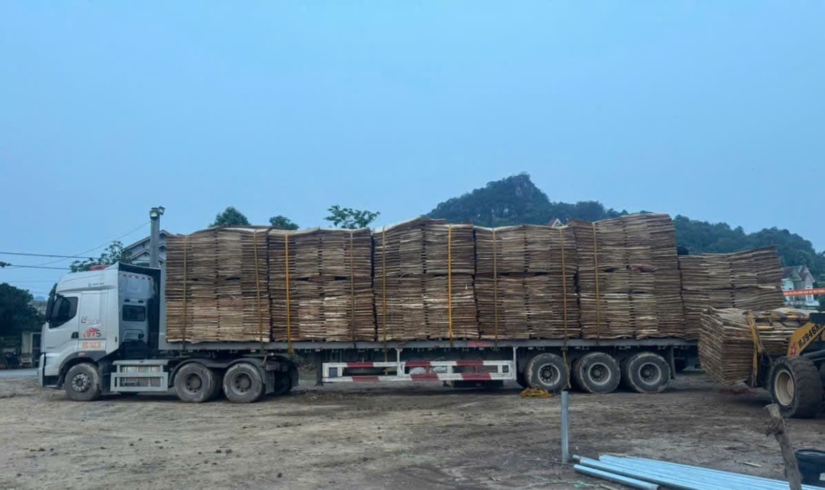 Gỗ dán thương mại
